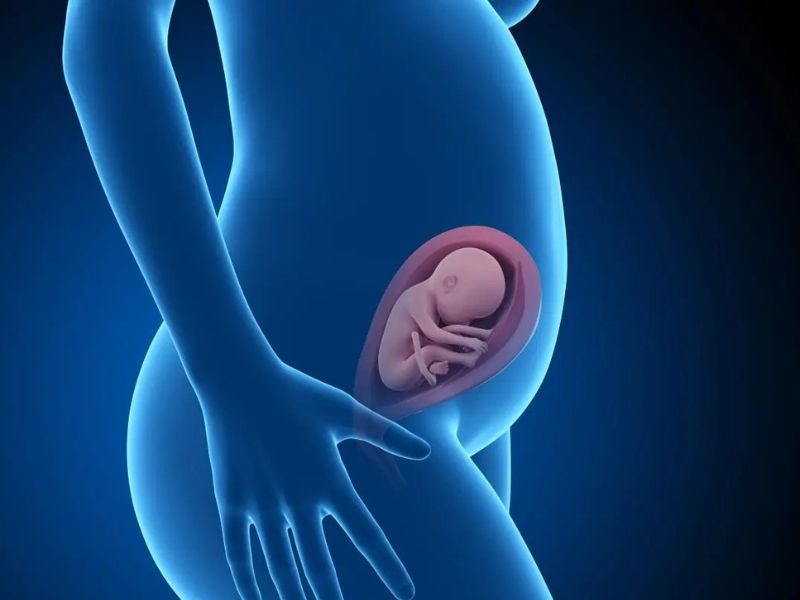 ung-thu-co-tu-cung-khi-mang-thai-2