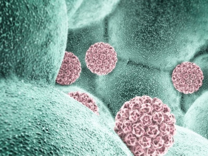 cach-dao-thai-virus-hpv-ra-khoi-co-the-1