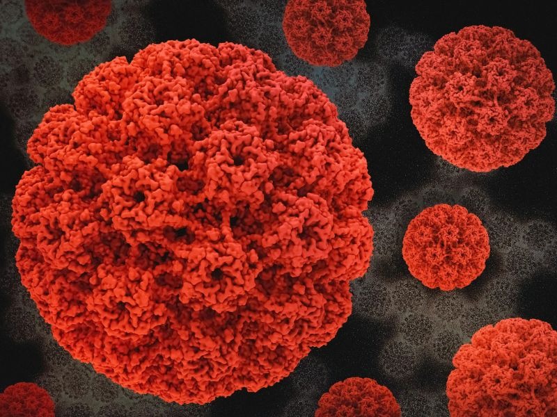 hpv-type-66-co-nguy-hiem-khong-4