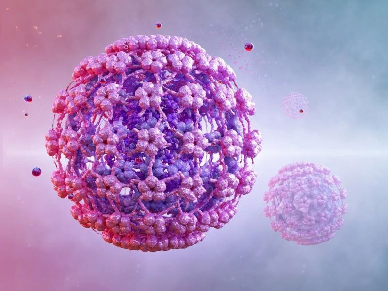 hpv-type-66-co-nguy-hiem-khong-1