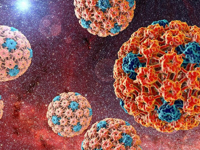 hpv-co-chua-duoc-khong-2