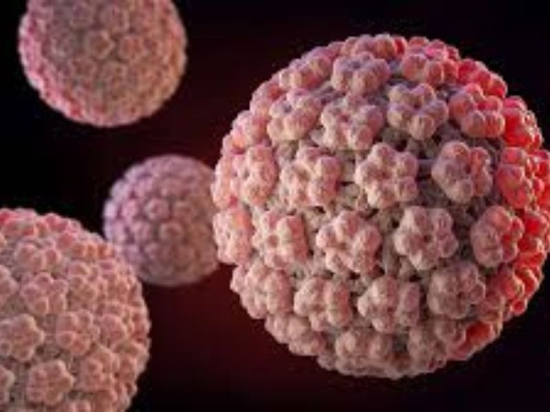 hpv-co-chua-duoc-khong-1