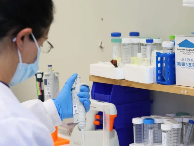 hoa-mo-mien-dich-ki67-2