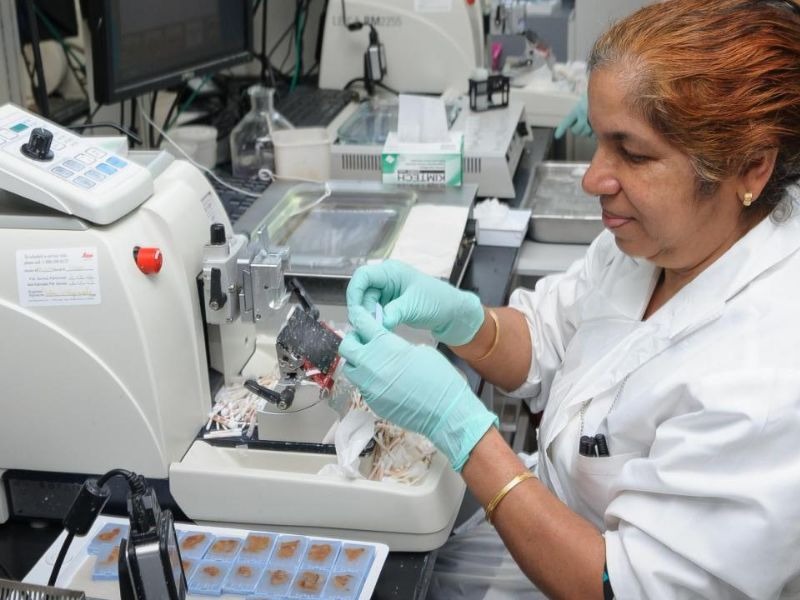 hoa-mo-mien-dich-ki67-4