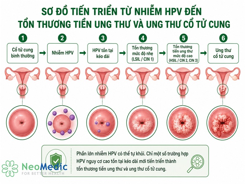 HPV-duong-tinh-co-phai-ung-thu-co-tu-cung-khong-so-do