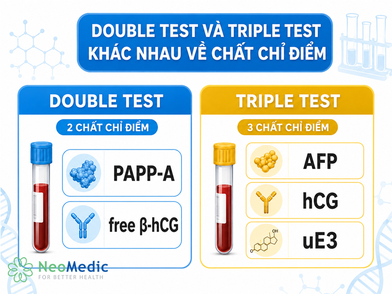 double-test-va-triple-test-khac-nhau-ban-chat