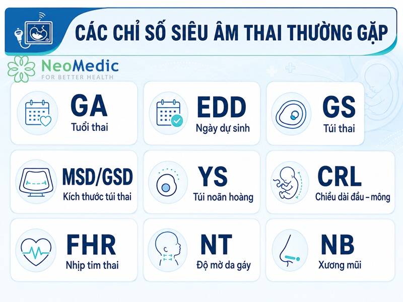 cac-chi-so-sieu-am-thai