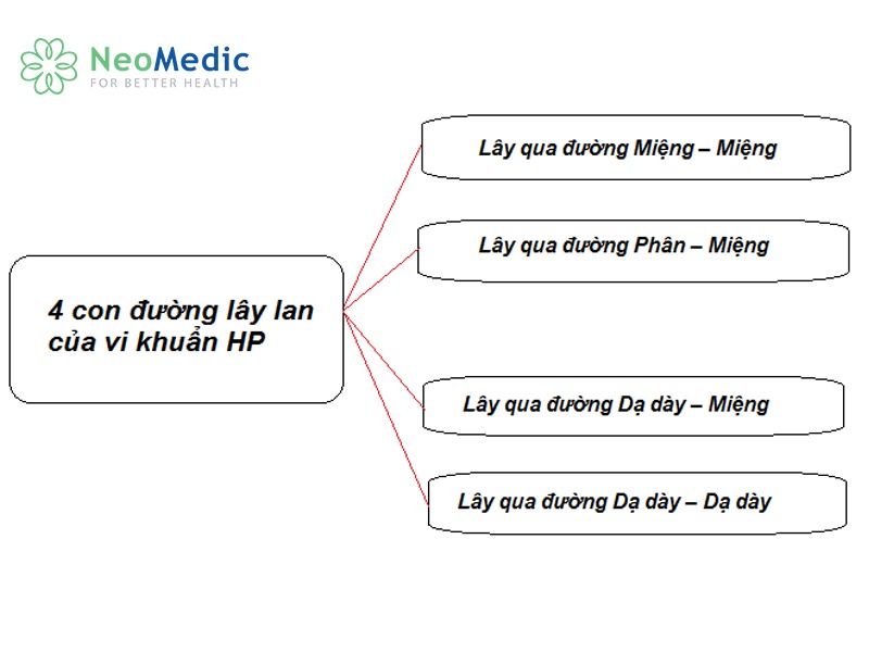 con-duong-lay-nhiem- vi-khuan-hp