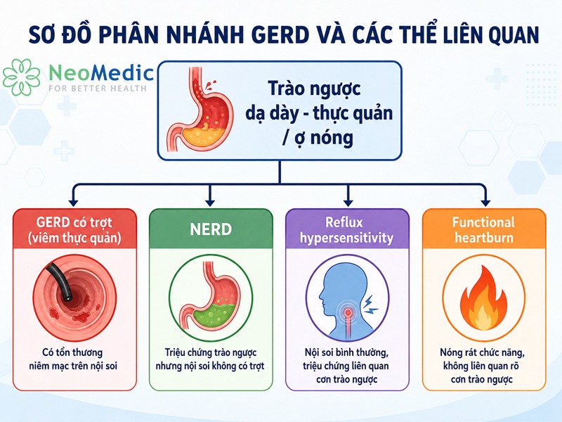 so-do-phan-nhanh-trao-nguoc-da-day-thuc-quan