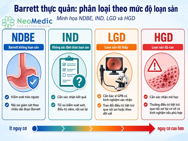 phan-loai-barrett-thuc-quan
