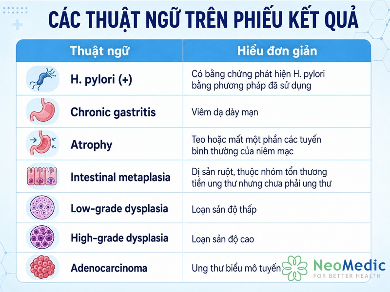 thuat-ngu-sinh-thiet-da-day