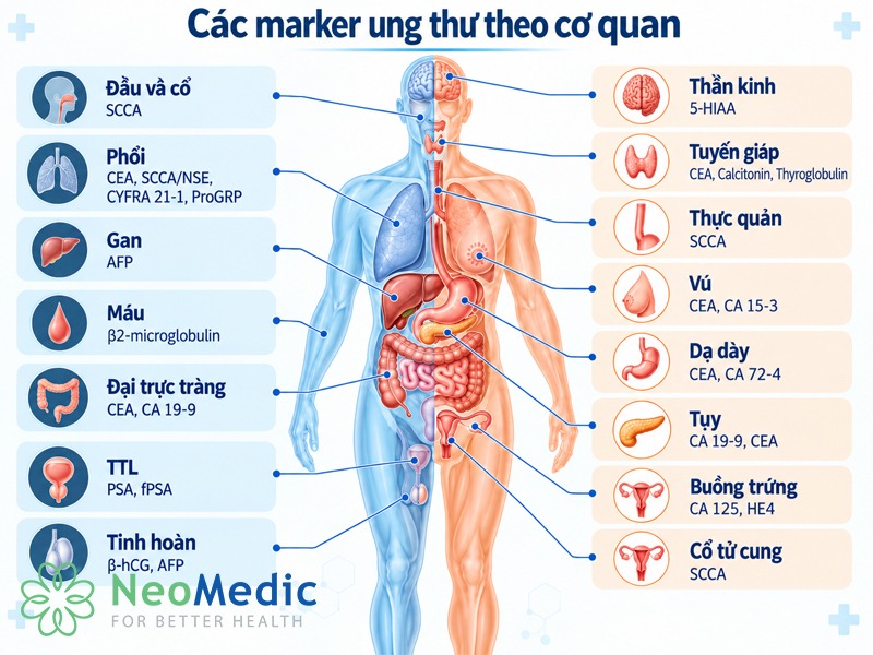 cac-xet-nghiem-marker-ung-thu