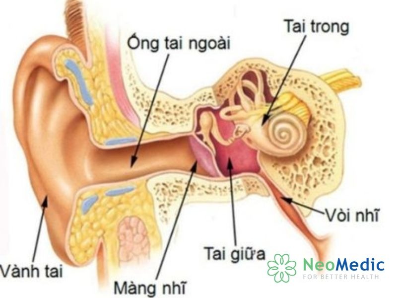 viem-tai-giua-u-dich-o-tre-cau-hoi