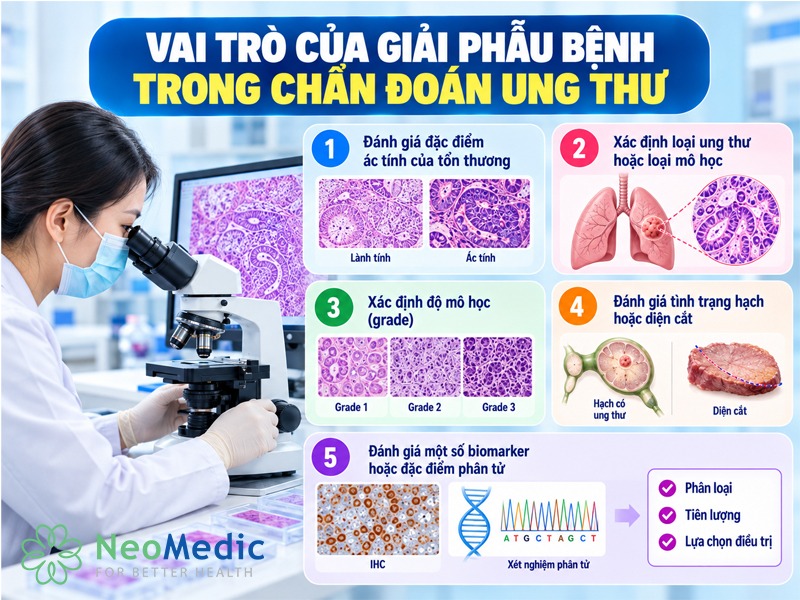 vai-tro-giai-phau-benh