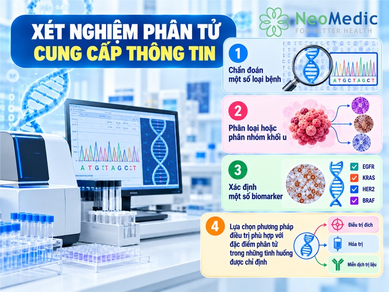 giai-phau-benh-xet-nghiem-phan-tu