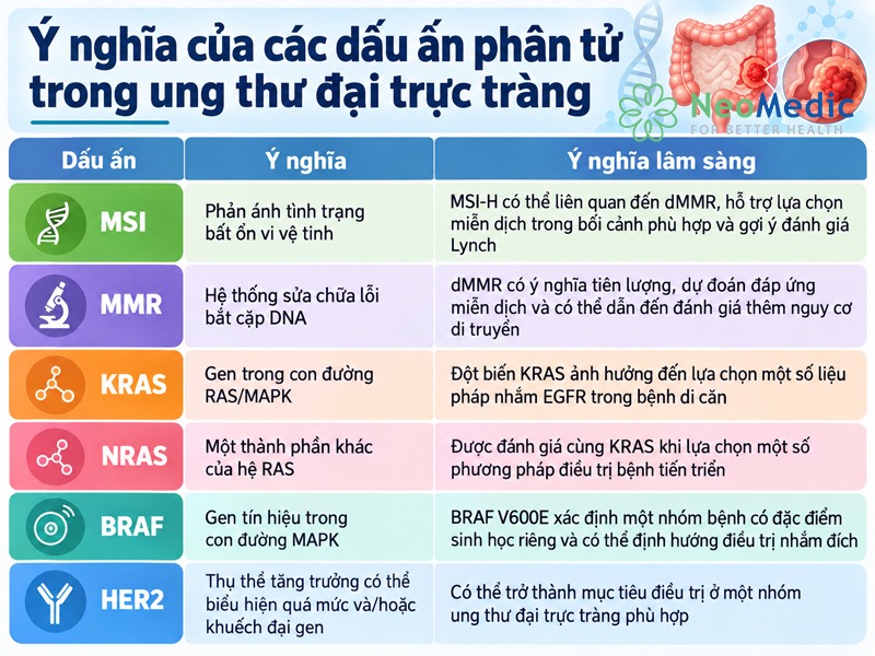 dau-an-phan-tu-ung-thu-dai-truc-trang