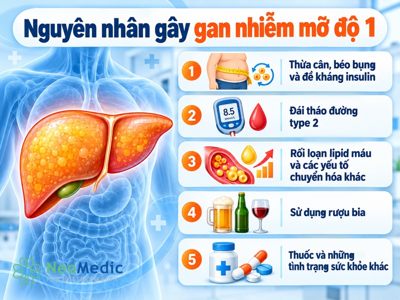 nguyen-nhan-gan-nhiem-mo-do-1