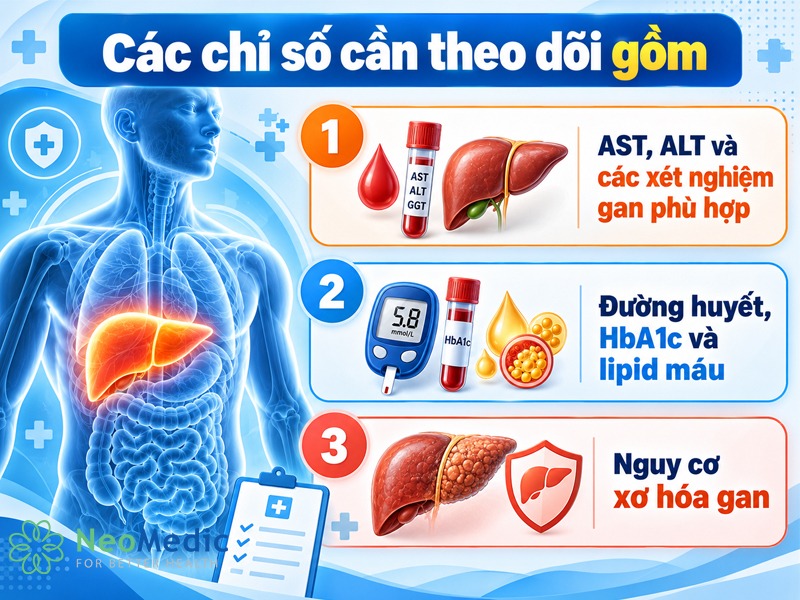gan-nhiem-mo-do-1-cac-chi-so-can-theo-doi