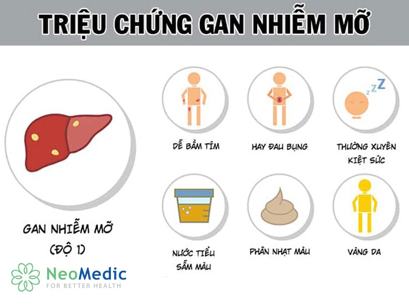 trieu-chung-gan-nhiem-mo-do-1