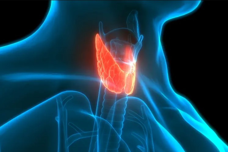 ung-thu-tuyen-giap-nguyen-nhan-cach-dieu-tri-1