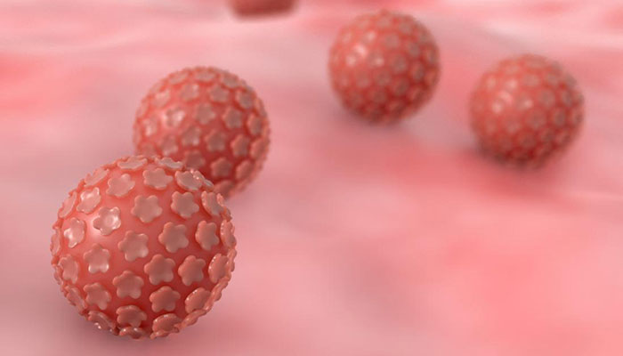 virus-co-the-dan-den-ung-thu-2