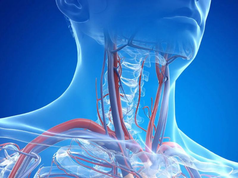 sieu-am-vung-co-co-tac-dung-gi-6